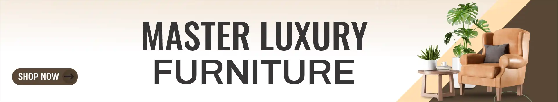 Chiniot Furniture Factory cover
